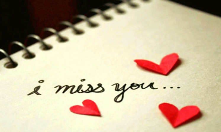 东莞市侦探公司:表示出了极大的不满